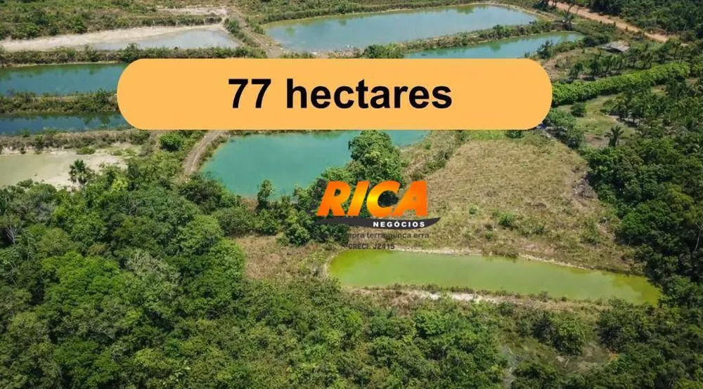 Sítio, 77 hectares - Foto 2