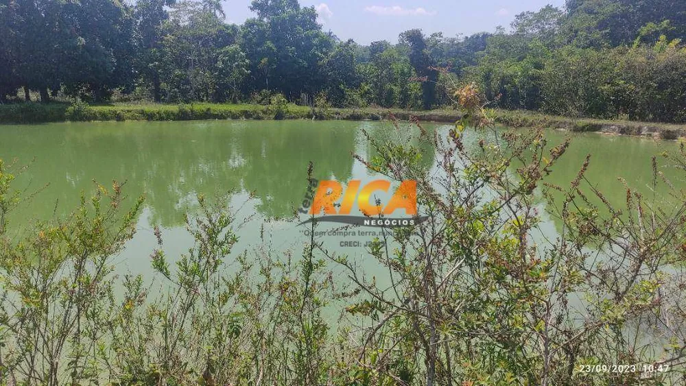 Sítio, 77 hectares - Foto 10