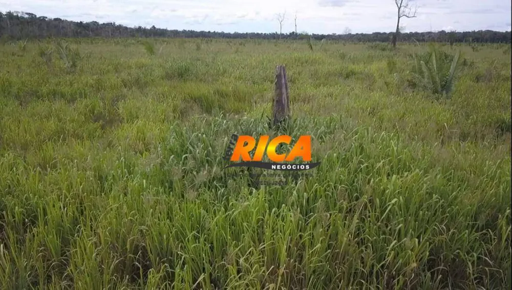 Fazenda, 500 hectares - Foto 3