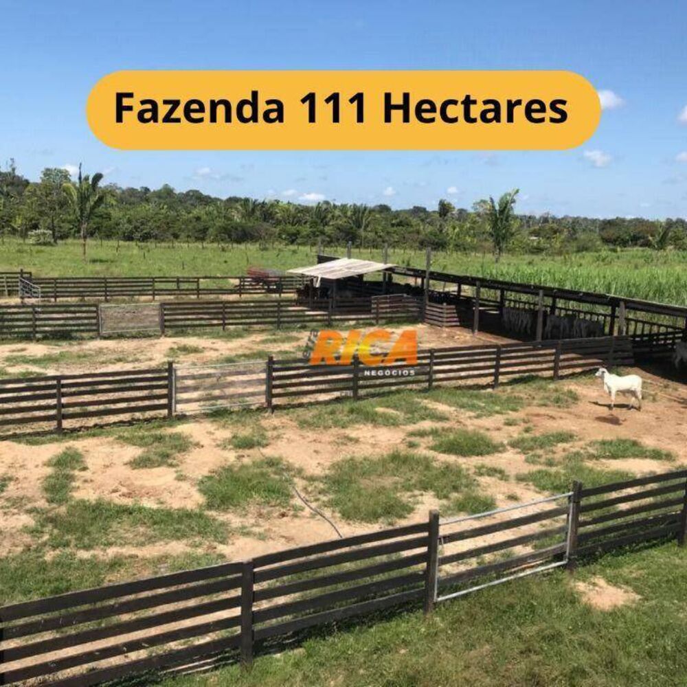 Fazenda, 111 hectares - Foto 1