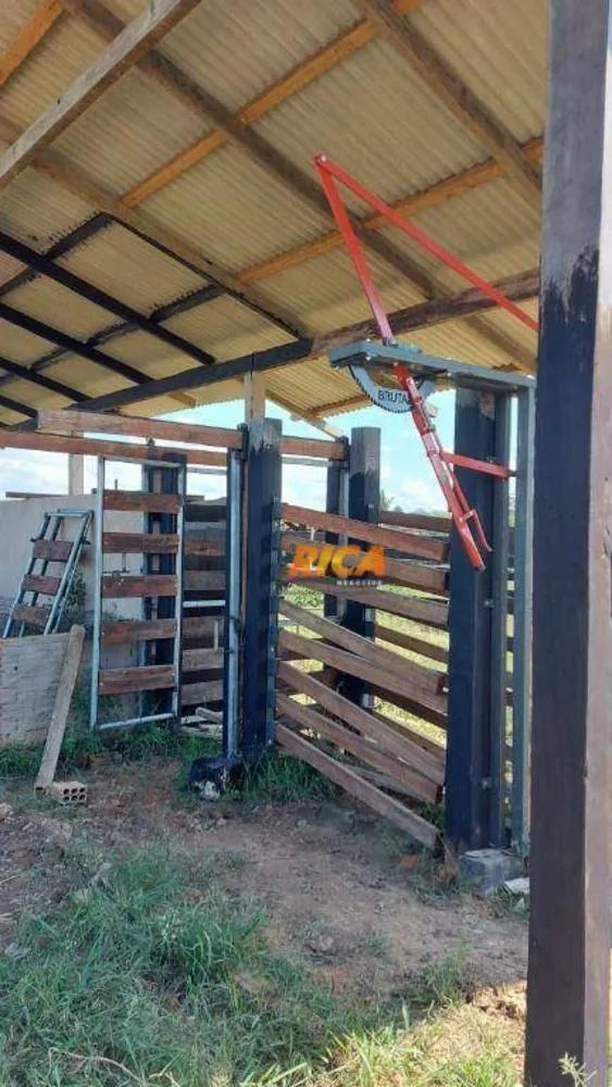 Fazenda, 111 hectares - Foto 11