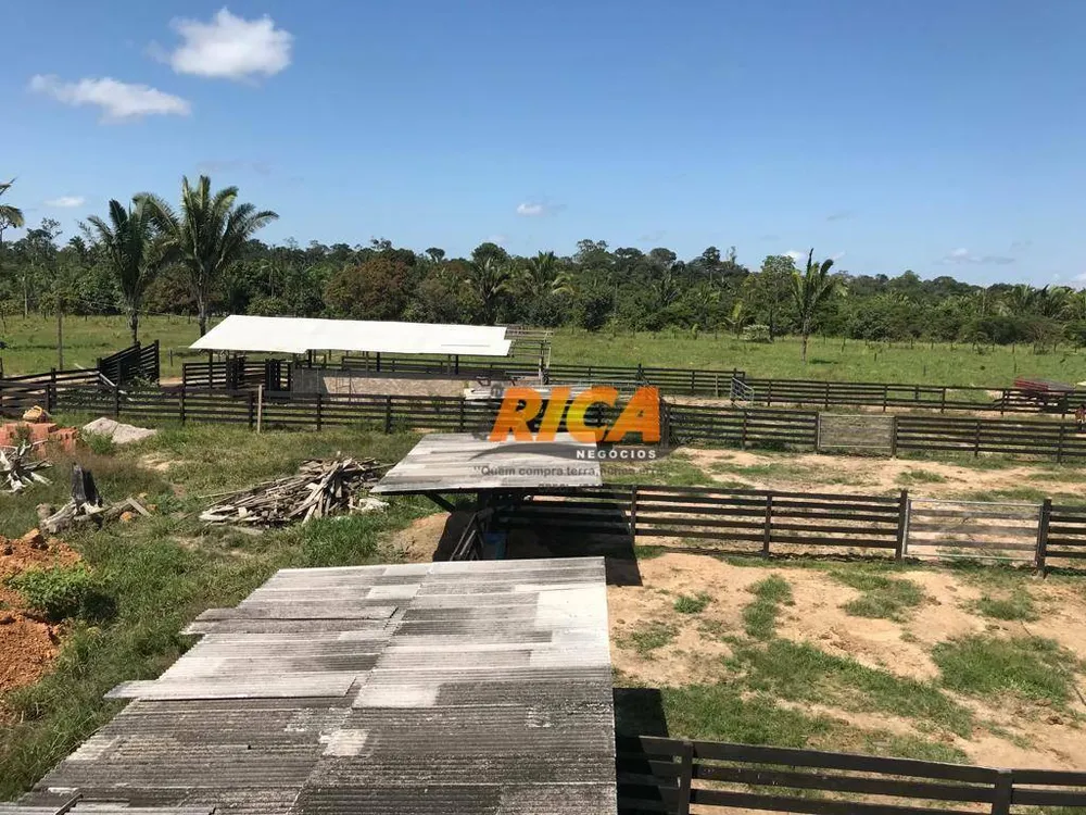 Fazenda, 111 hectares - Foto 7