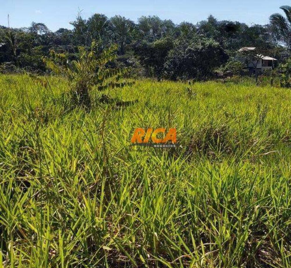 Fazenda, 111 hectares - Foto 2