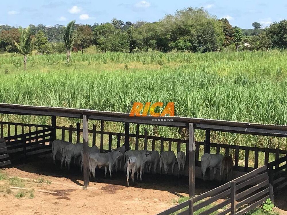 Fazenda, 111 hectares - Foto 3