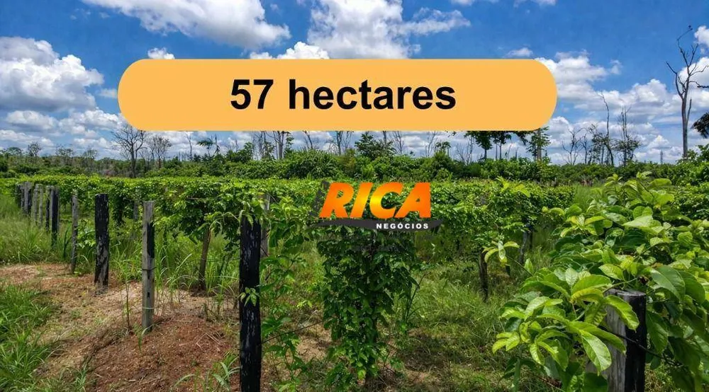Sítio, 57 hectares - Foto 1