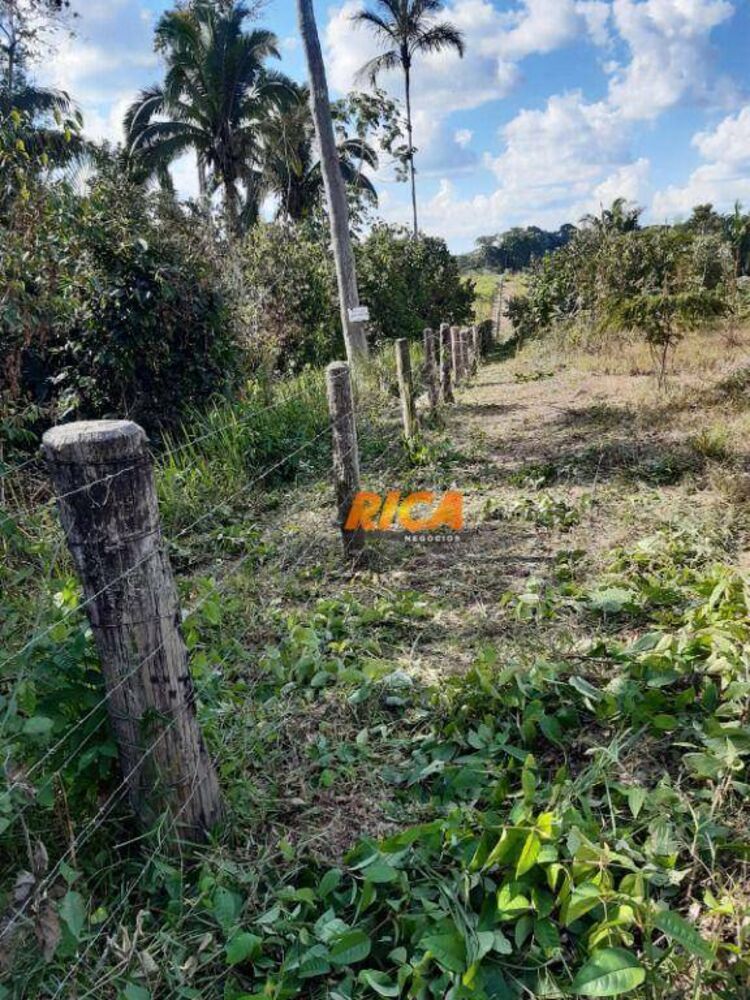 Chácara, 1 hectares - Foto 2