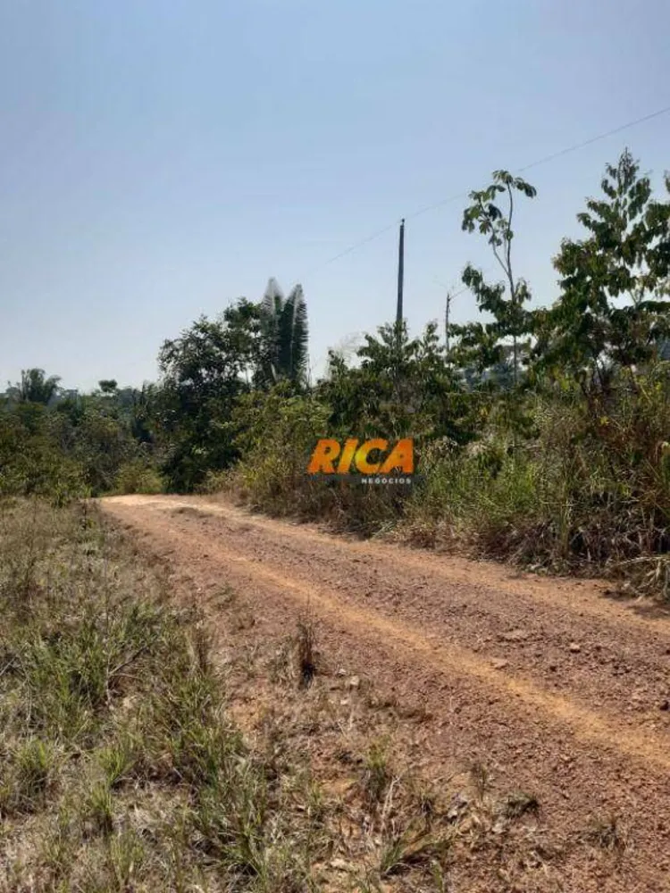 Chácara, 7 hectares - Foto 4