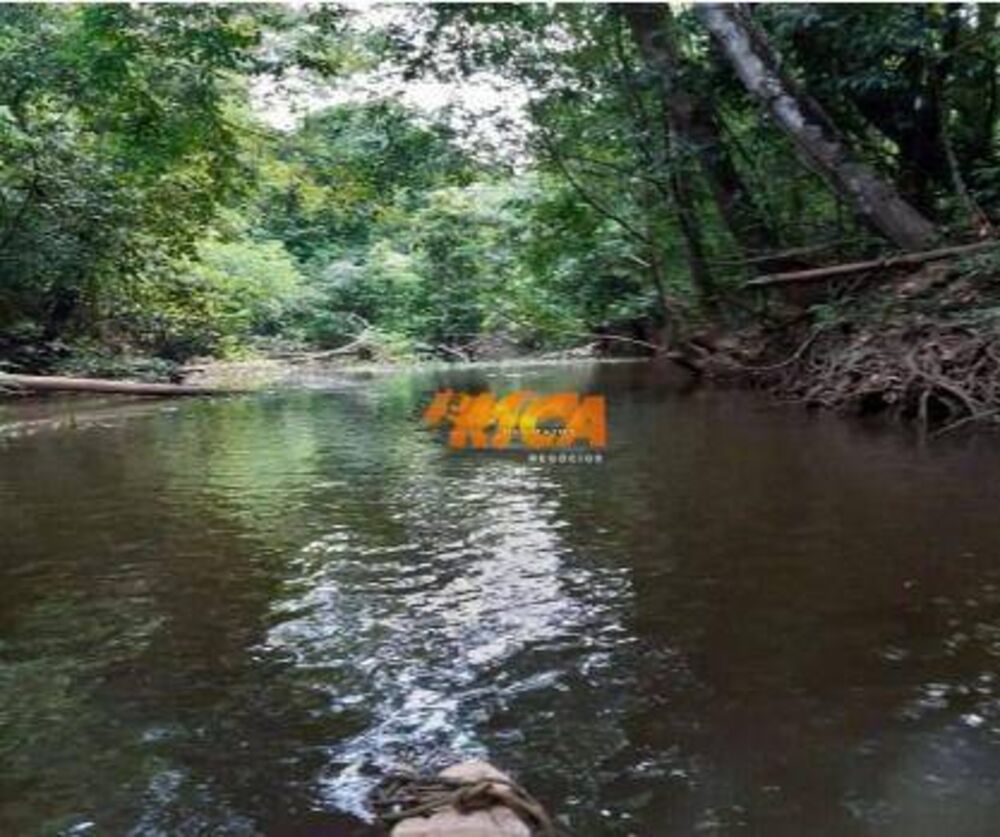 Chácara, 1 hectares - Foto 3