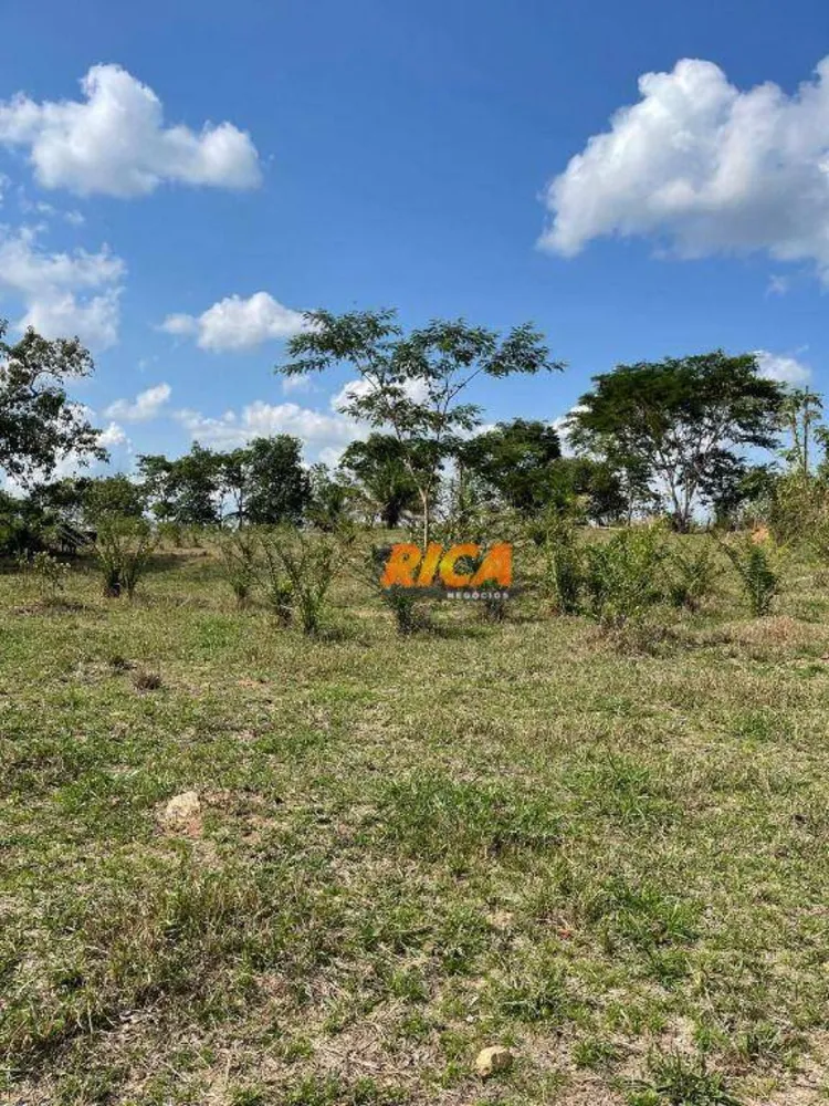Sítio, 25 hectares - Foto 7