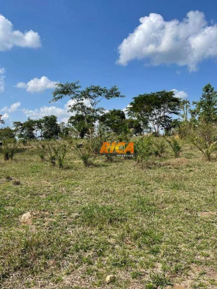 Sítio, 25 hectares - Foto 6