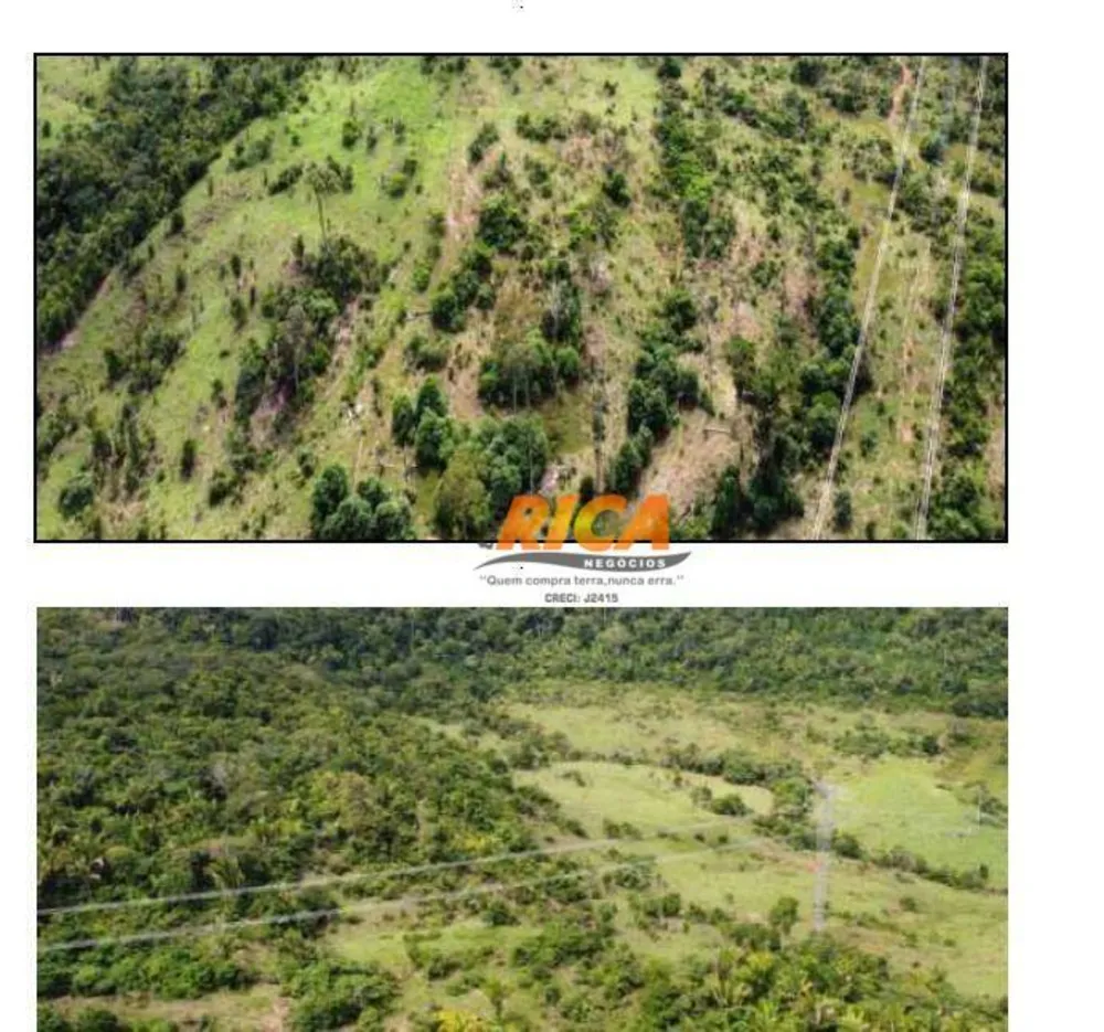 Sítio, 25 hectares - Foto 12