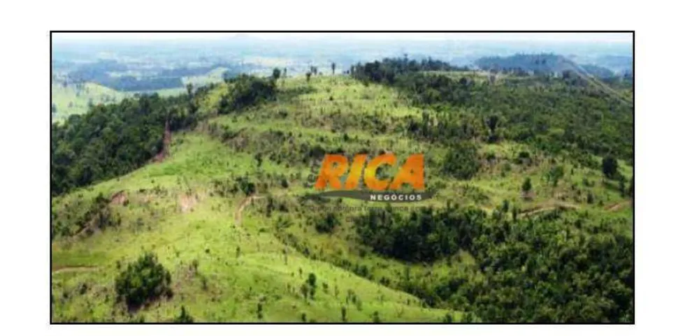 Sítio, 25 hectares - Foto 10