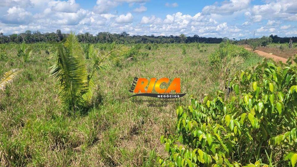 Fazenda, 103 hectares - Foto 6