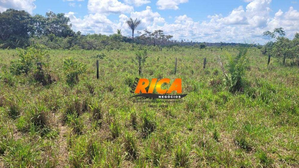 Fazenda, 103 hectares - Foto 4