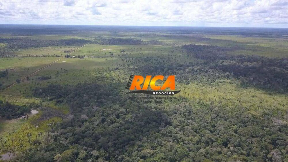 Fazenda, 103 hectares - Foto 7