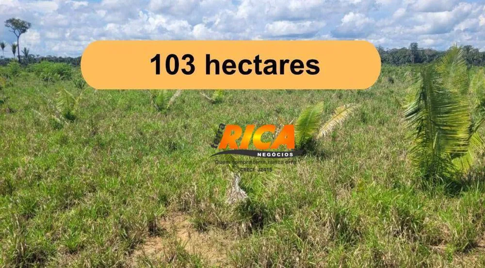 Fazenda, 103 hectares - Foto 1
