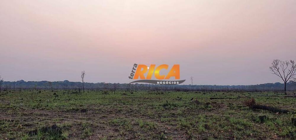 Fazenda, 660 hectares - Foto 9