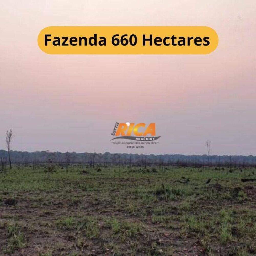 Fazenda, 660 hectares - Foto 5