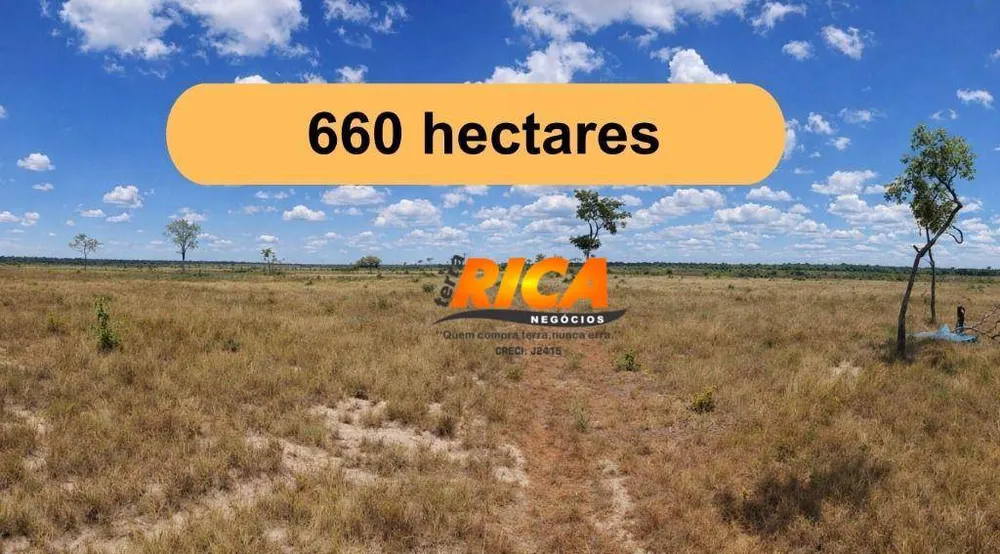 Fazenda, 660 hectares - Foto 2
