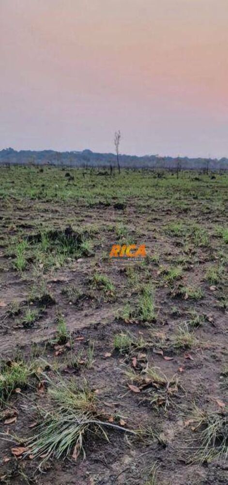 Fazenda, 660 hectares - Foto 6