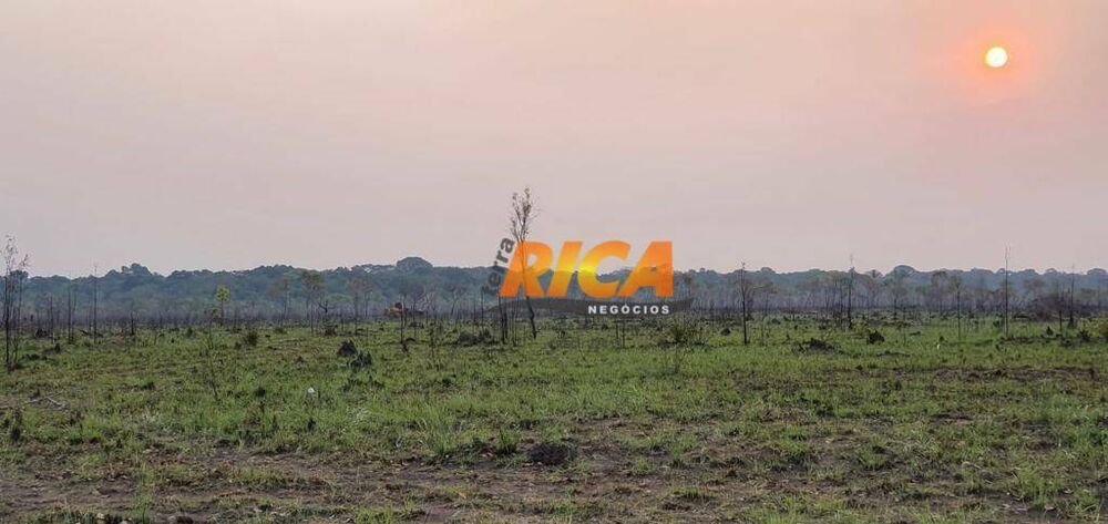 Fazenda, 660 hectares - Foto 1