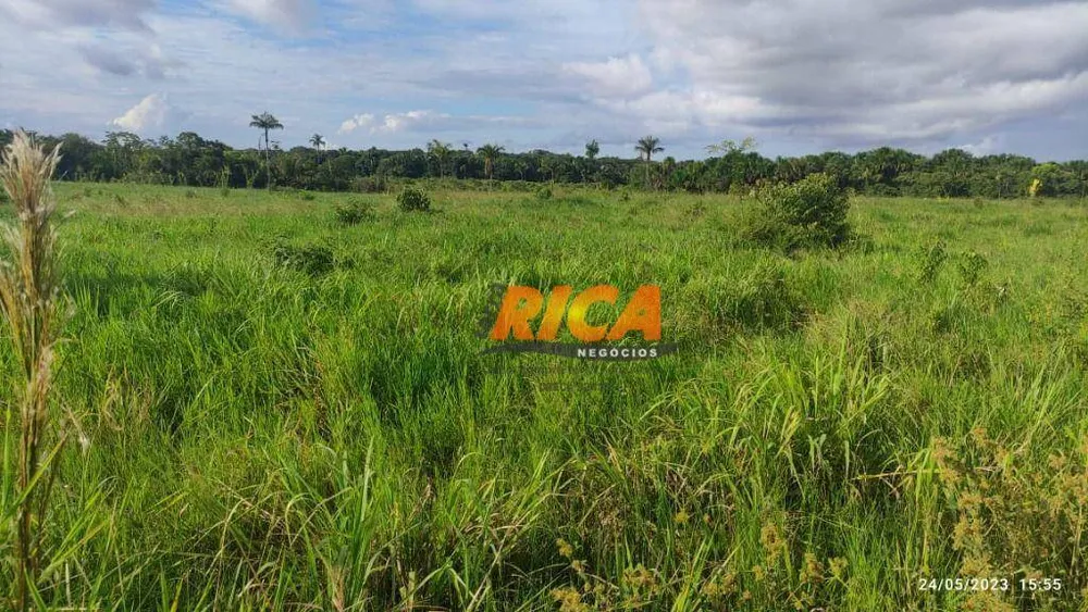 Fazenda, 300 hectares - Foto 11