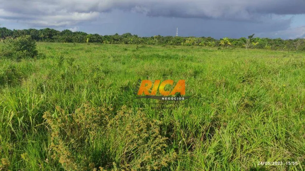 Fazenda, 300 hectares - Foto 6