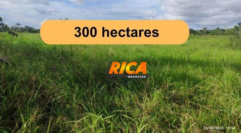Fazenda, 300 hectares - Foto 2