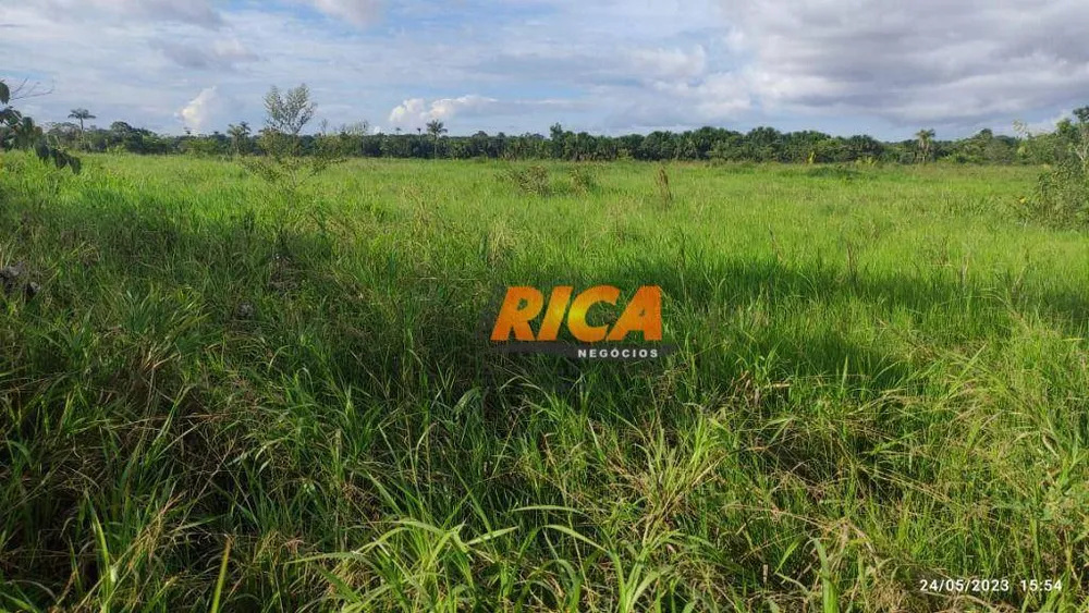 Fazenda, 300 hectares - Foto 14