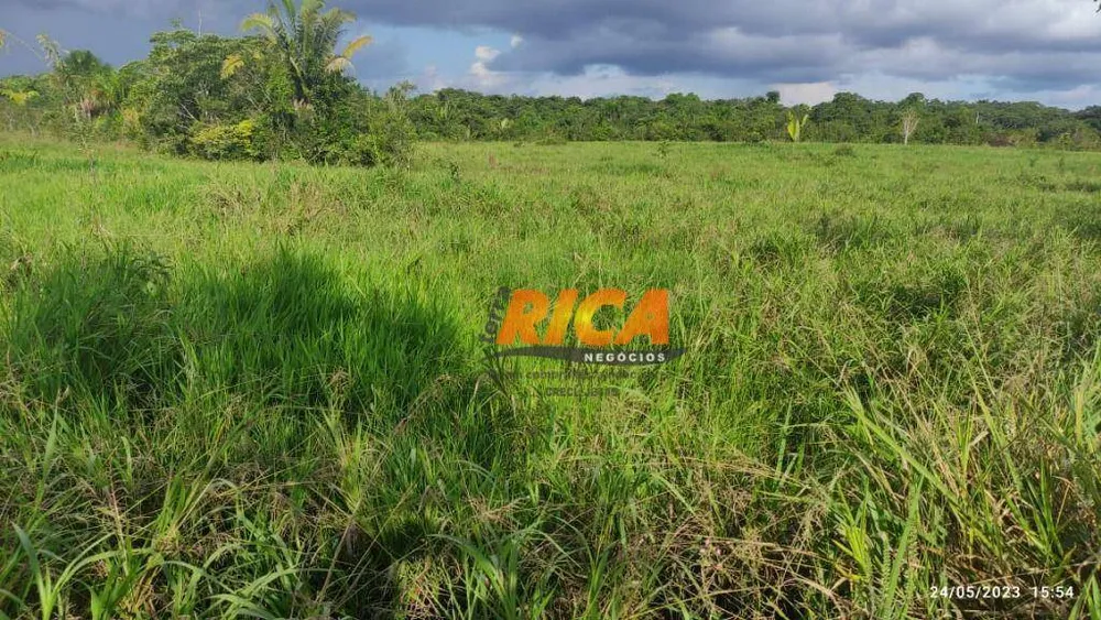 Fazenda, 300 hectares - Foto 7