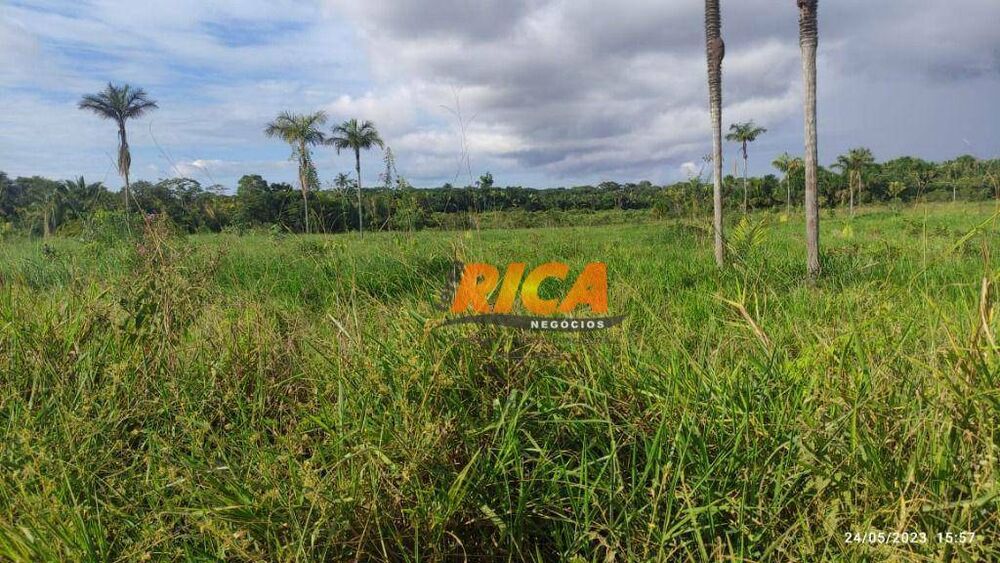 Fazenda-Sítio-Chácara, 300 hectares - Foto 7