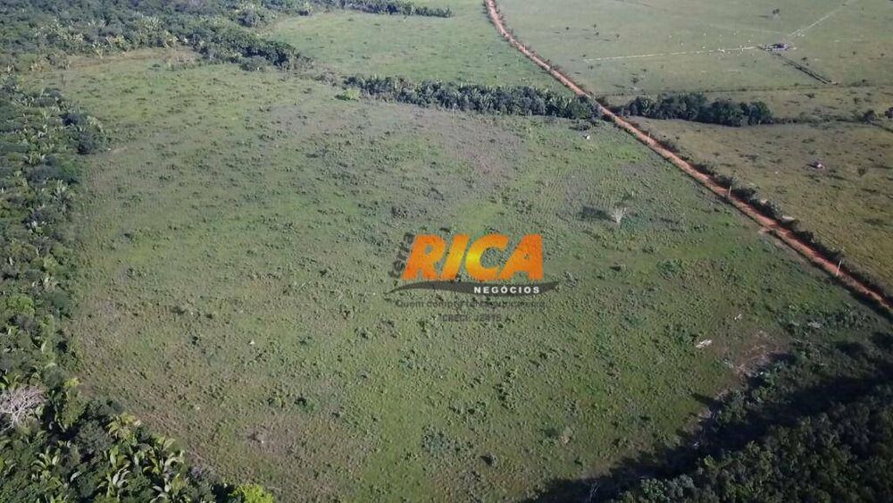 Fazenda-Sítio-Chácara, 300 hectares - Foto 5