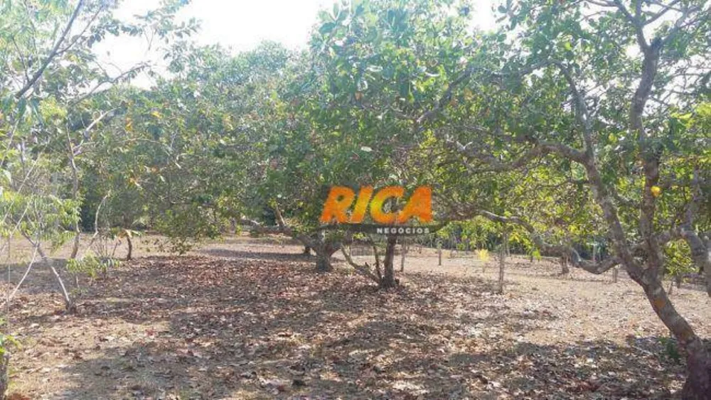 Chácara, 1 quarto, 4 hectares - Foto 7