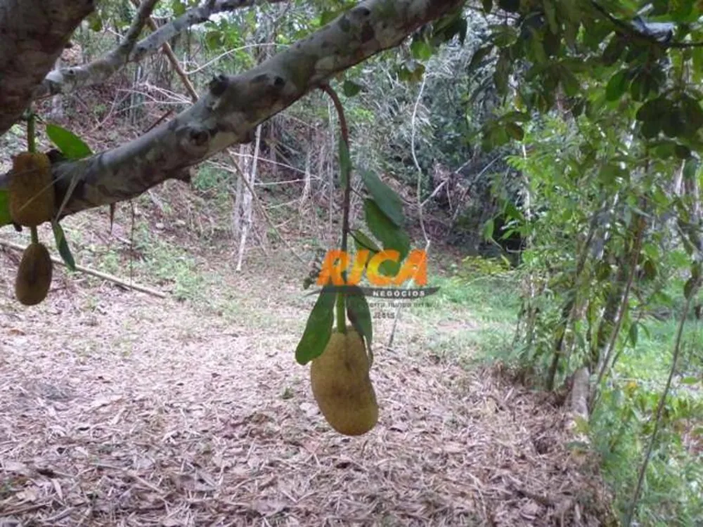 Chácara, 1 quarto, 4 hectares - Foto 13