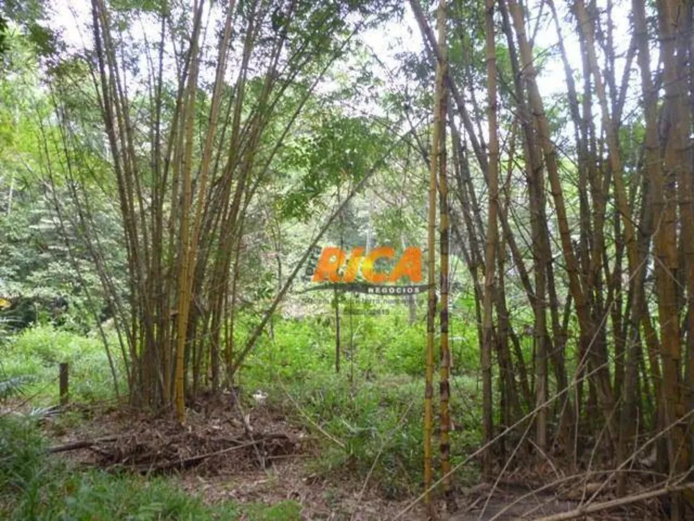 Chácara, 1 quarto, 4 hectares - Foto 12