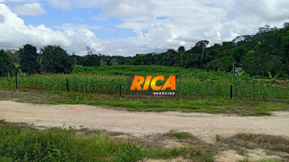 Fazenda, 307 hectares - Foto 3