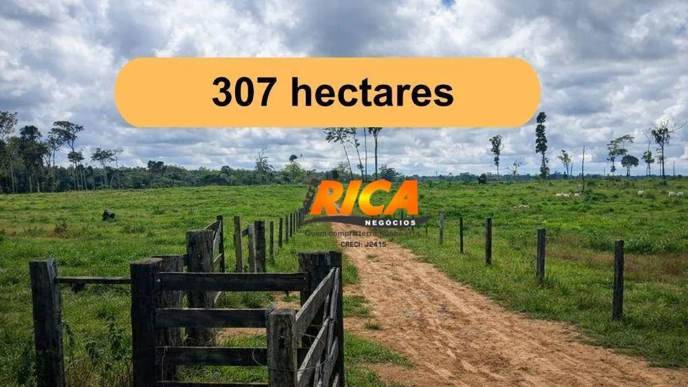 Fazenda, 307 hectares - Foto 1
