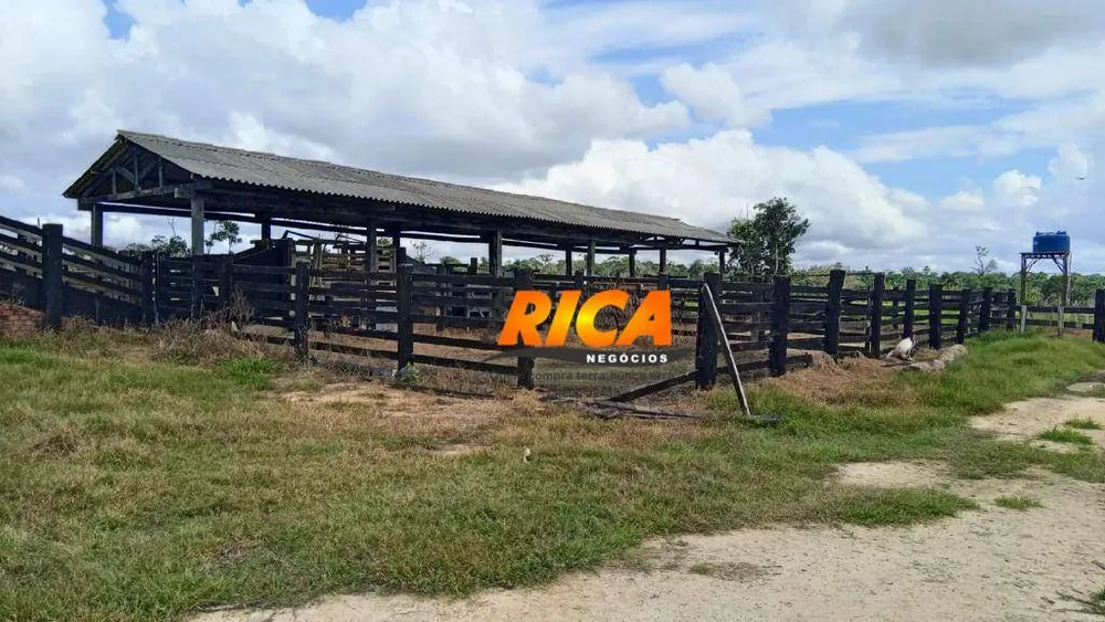 Fazenda, 307 hectares - Foto 4