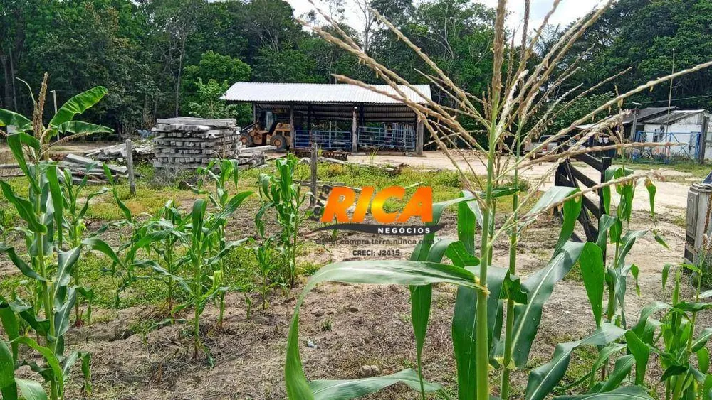Fazenda, 307 hectares - Foto 8