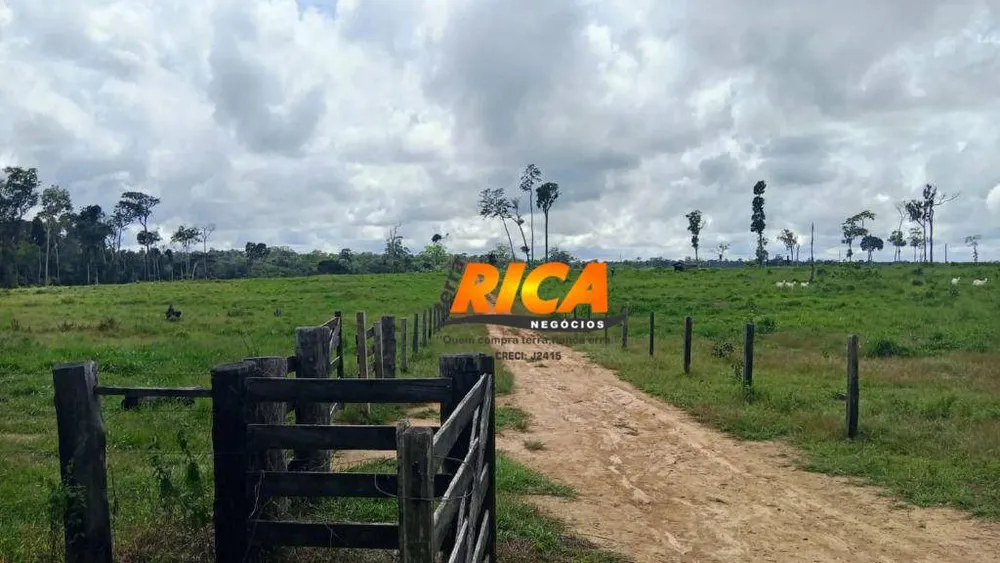 Fazenda, 307 hectares - Foto 2
