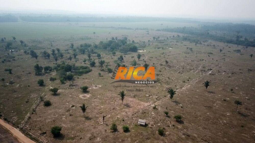 Fazenda-Sítio-Chácara, 570 hectares - Foto 13