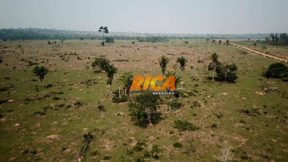 Fazenda-Sítio-Chácara, 570 hectares - Foto 14