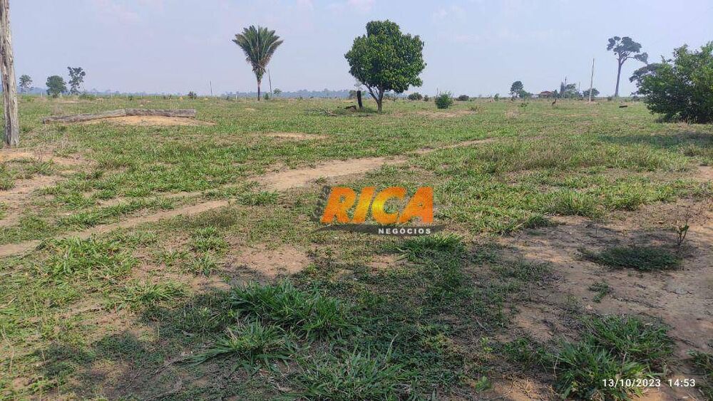 Fazenda-Sítio-Chácara, 570 hectares - Foto 16