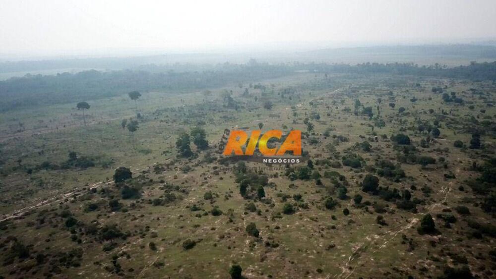 Fazenda-Sítio-Chácara, 570 hectares - Foto 11