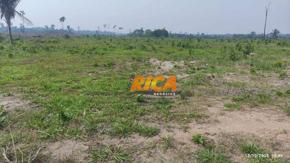 Fazenda-Sítio-Chácara, 570 hectares - Foto 7