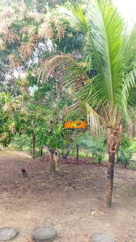 Chácara, 6 hectares - Foto 2