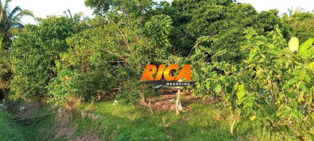 Chácara, 5 hectares - Foto 2
