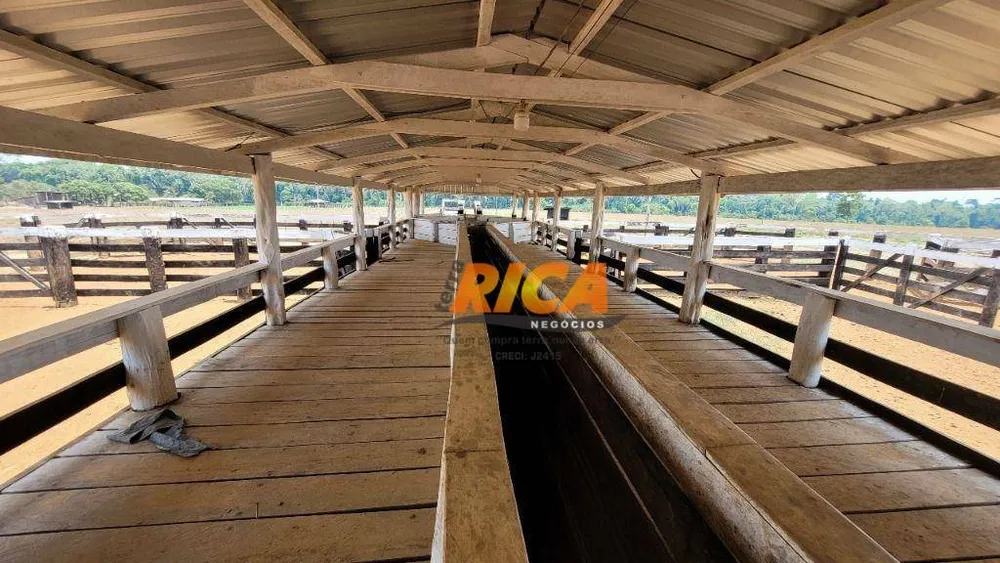 Fazenda, 928 hectares - Foto 6