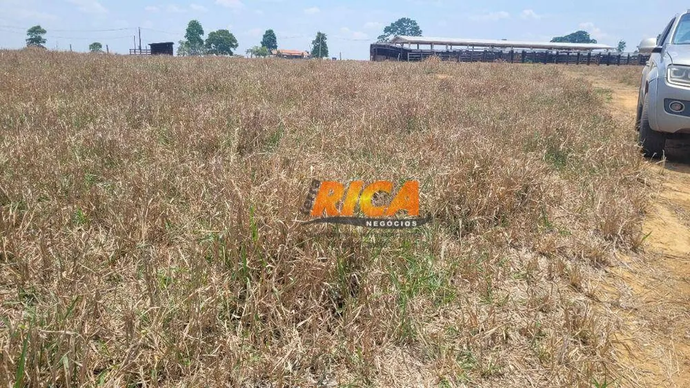 Fazenda, 928 hectares - Foto 8
