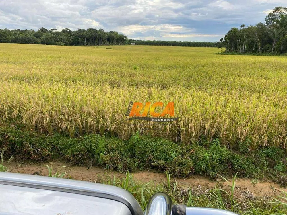 Fazenda, 710 hectares - Foto 4
